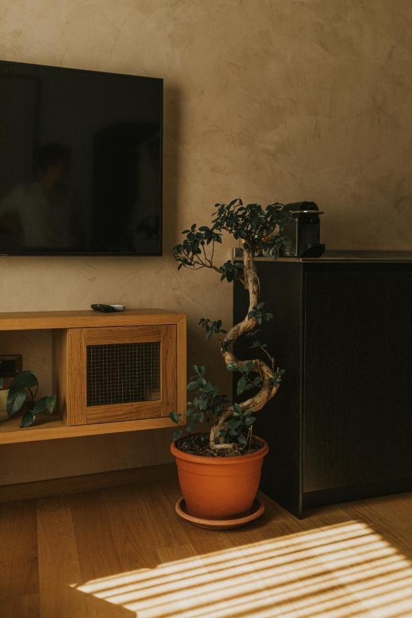 Cave Design Apartment